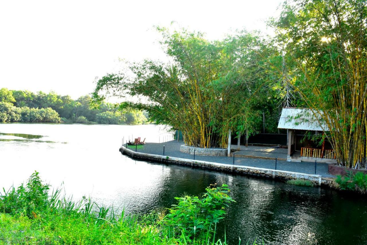 Pelican Lake Udawalawe Exterior photo